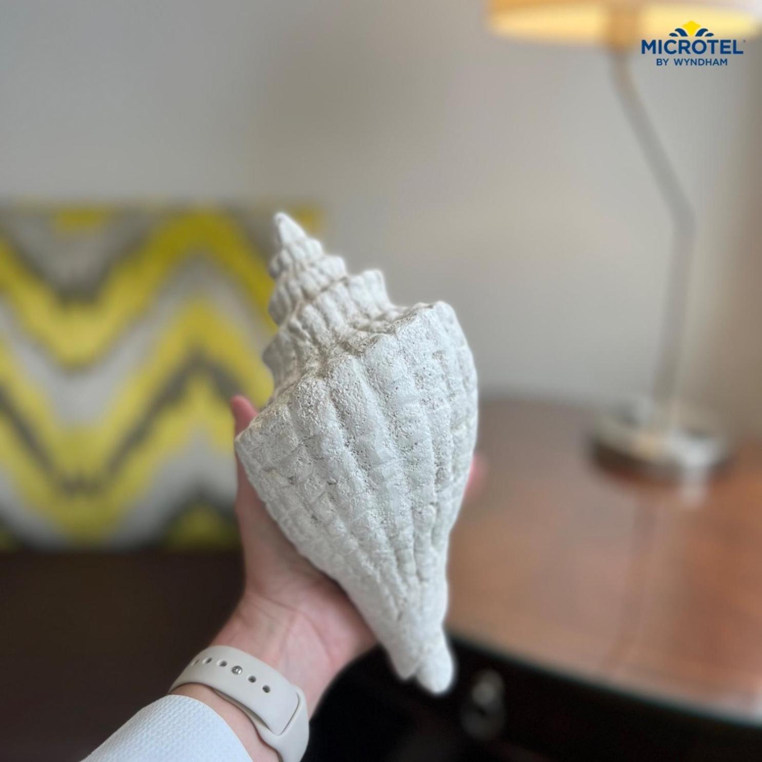 Microtel Inn & Suites By Wyndham Corpus Christi/Aransas Pass Buitenkant foto